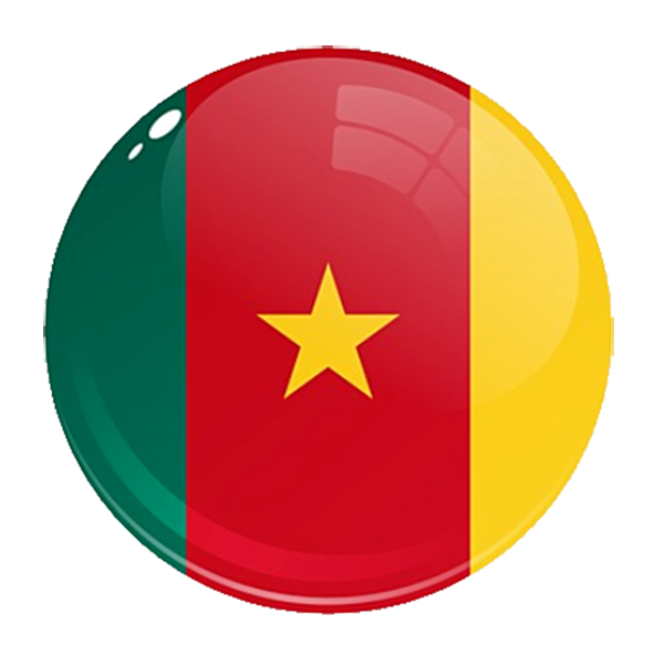 Drapeau Cameroun