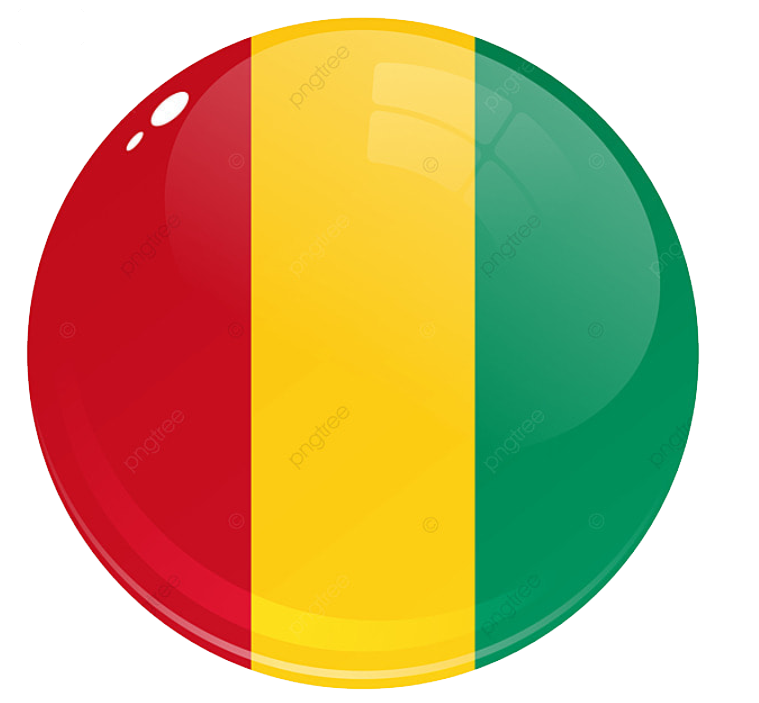 Drapeau Guinée Conakry